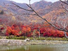 -龙道沟景区