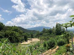 -天强农家菜馆