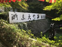 -宁波浙东大竹海景区