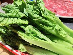 -袁山山重庆火锅(丈八北路店)