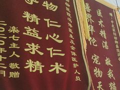 -中农国际动物医院24小时·猫科·骨科·急重症中心