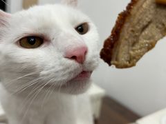 -晶牌烤鸭(延吉东路557弄小区店)