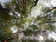 -金水泊山庄·花椒鸡(铁山坪店)