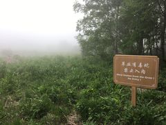 -白草畔自然风景区