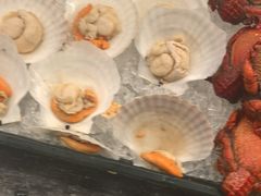 -美食汇·海鲜自助餐·家庭聚会·商务宴请(青秀万达文华店)