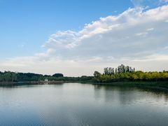 -东郊湿地公园