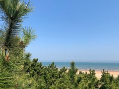 -日照海滨国家森林公园