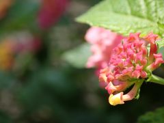 -苏州河梦清园环保主题公园