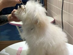 -FAELING PETS美天灵宠物(富力广场店)