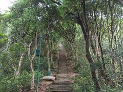 -梧桐山风景名胜区