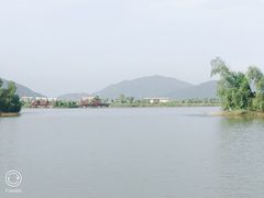 -芒洲湿地公园