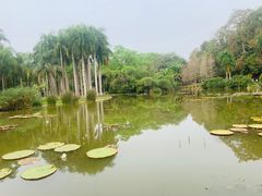 -中国科学院西双版纳热带植物园