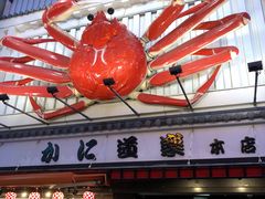 -蟹道乐(道顿堀本店)