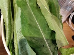 -珍巴奴毛肚牛肉小火锅(四惠店)