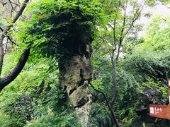 -上海方塔园