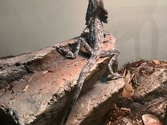 -朵云书院(滴水湖店)