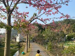 -红山村