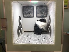 -宠物兔专门店(天丰利市场店)