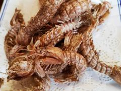 -宾朋海鲜特色美食餐厅·纯手工鲅鱼水饺(兴海路店)