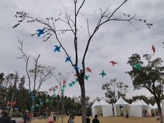 -上海长兴岛郊野公园