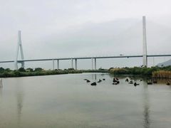 -芒洲湿地公园