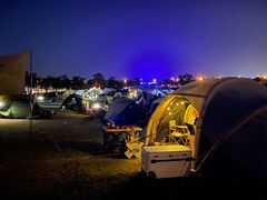 -春花秋色城市公园