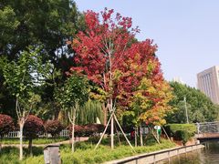 -裕华世纪公园