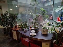 -袁亮今日陶艺(苹果社区总店)