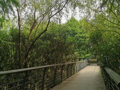 -尚贤河湿地