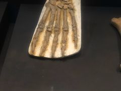 -北京周口店北京人遗址博物馆