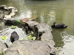 -梧桐人家中国太平国际健康颐养社区