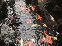 -龙源九号花园酒店(叶埠桥店)