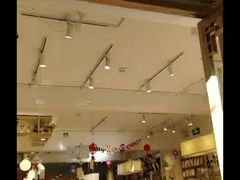 -猫的天空之城概念书店(束河店)
