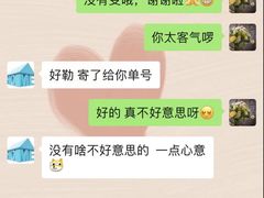 -宠物之家Pets Home 宠物寄养酒店