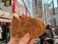 -秋叶原电器街