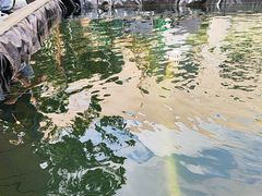 -DGE季风钓虾营地·团建·聚会