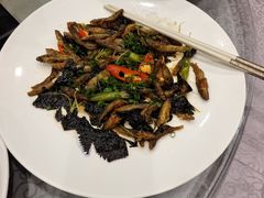 -品泉餐厅·大盆鱼·走地鸡