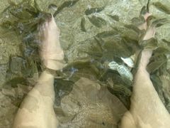 -碧水湾温泉