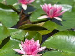 -昆明市金殿名胜区