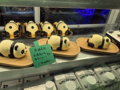 -轩客会(熊猫书店)