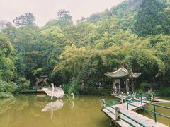 -黔灵山公园