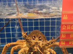-骏莱海鲜鱼港(五角场店)