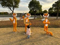 -菊园百果园