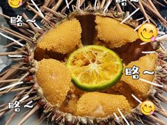 -连鹭海鲜·海肠捞饭·海胆饭(星海店)