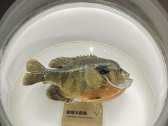 -陕西自然博物馆