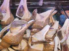 -吴记富苑(朝阳店)