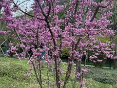 -黄公望隐居地