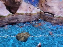 -顺德南宏海立方海洋公园