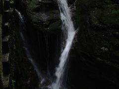 -牛背梁国家森林公园