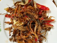 炸油蘑菇-尼玛藏家风味园(阿山食城店)